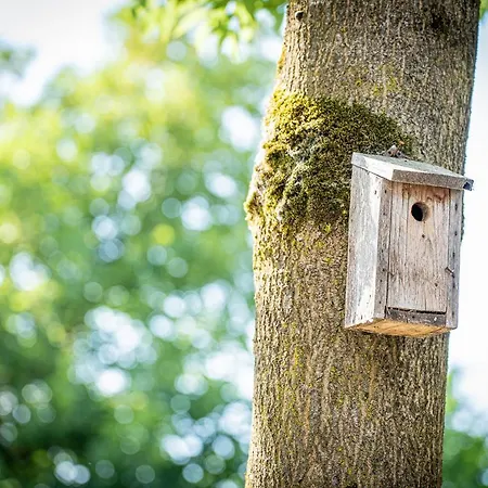 - La Maison Des Sottais Bed & Breakfast