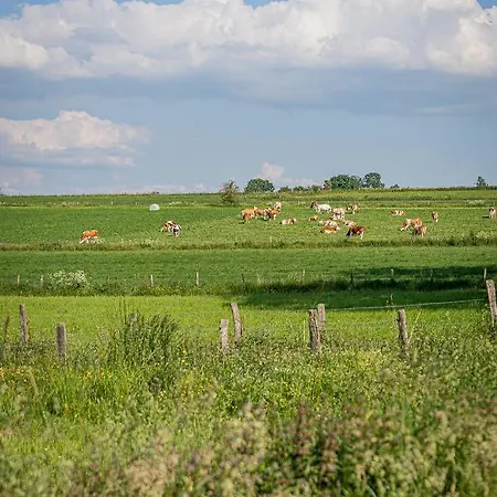 Bed and breakfast - La Maison Des Sottais